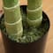 9ft. Potted Green Artificial Double Golden Cane Palm Tree